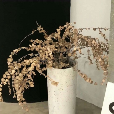 Furry绘画动态灵感FurryQQ群